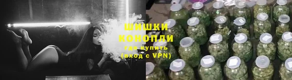 ешки Гусев