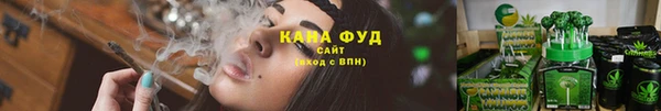 ешки Гусев