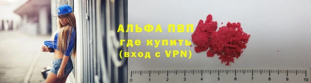 ешки Гусев