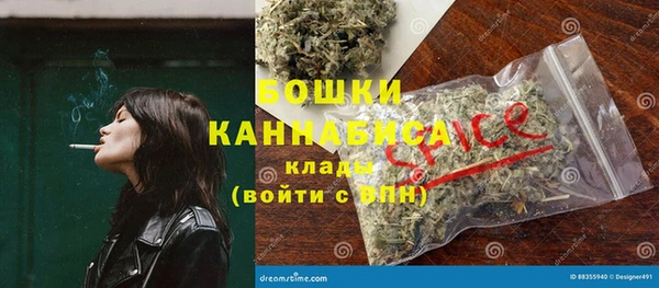 ешки Гусев