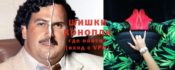spice Гусиноозёрск