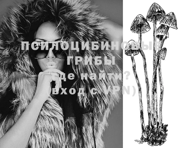 ешки Гусев
