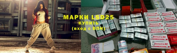 spice Гусиноозёрск