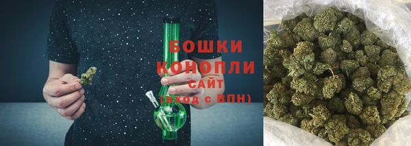 ешки Гусев