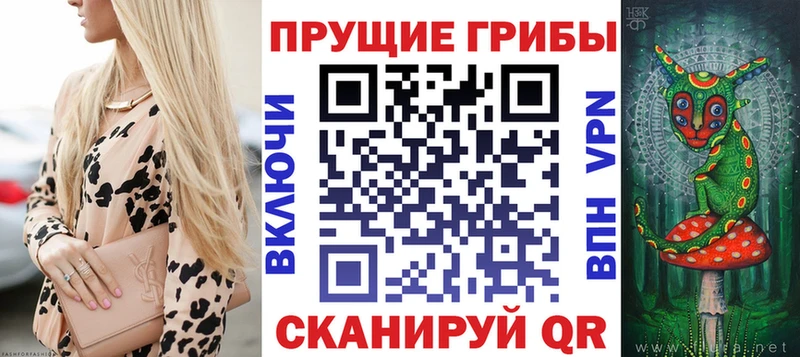 Псилоцибиновые грибы MAGIC MUSHROOMS  Купить  Козьмодемьянск 